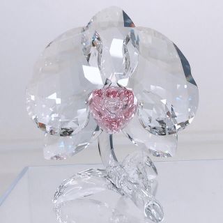 スワロフスキー(SWAROVSKI)のオーキッド　スワロフスキー(置物)