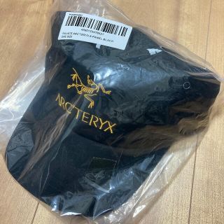 ARC'TERYX - palace arcteryx 6 panel パレス アークテリクス 黒 新品 ...