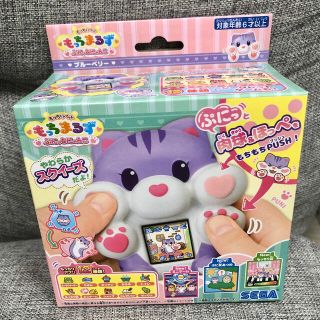 セガ(SEGA)の【新品未開封】もっちりペットもっちまるず ぷにっとにゃんこ ブルーベリー(キャラクターグッズ)