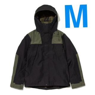 ザノースフェイス(THE NORTH FACE)のWEB限定 THE NORTH FACE Mountain Jacket 【M】(マウンテンパーカー)