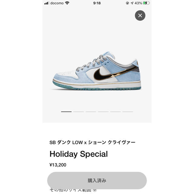 Sean Cliver x Nike SB holiday Special靴/シューズ