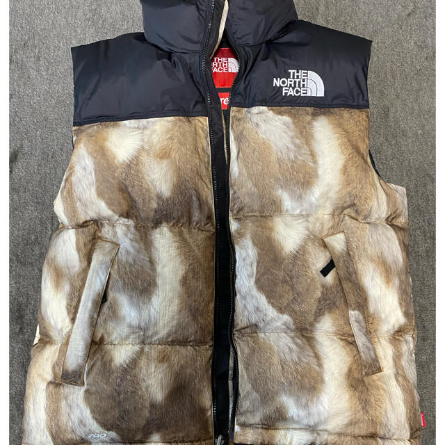 THE NORTH FACE supreme ちくわ ヌプシ