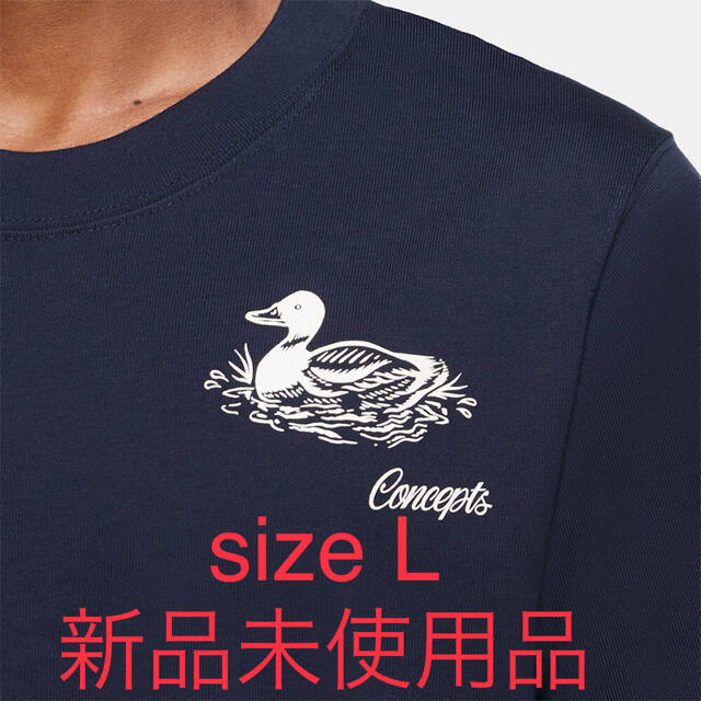 NIKE(ナイキ)のNike SB x Concepts マラードグラフィック　Tシャツ メンズのトップス(Tシャツ/カットソー(半袖/袖なし))の商品写真