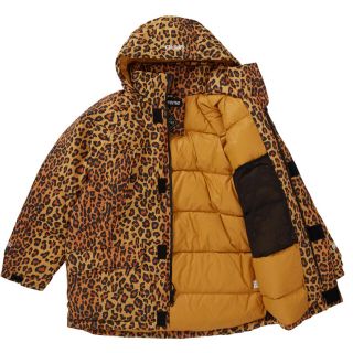 シュプリーム(Supreme)のsupreme 700fil gore-tex down parka (ダウンジャケット)