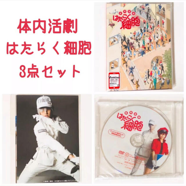 新品★体内活劇★はたらく細胞★DVD★ブロマイド★3点セット