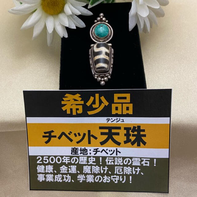予約販売品 <br>寶瓶天珠<br><br> copycatguate.com