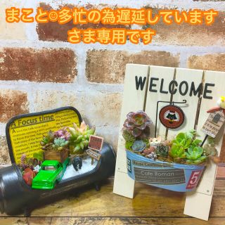 多肉植物の寄せ植え　リメ缶(多肉農園) ウェルカムボード(ネコのティールーム)(その他)