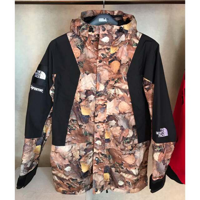 Supreme North Face Mountain Light Jacket