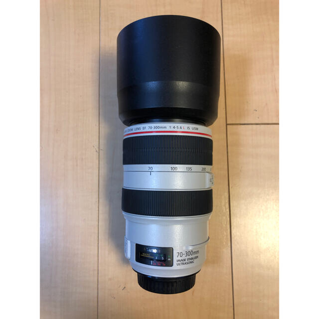 canon EF70-300mm f4-5.6L IS USM