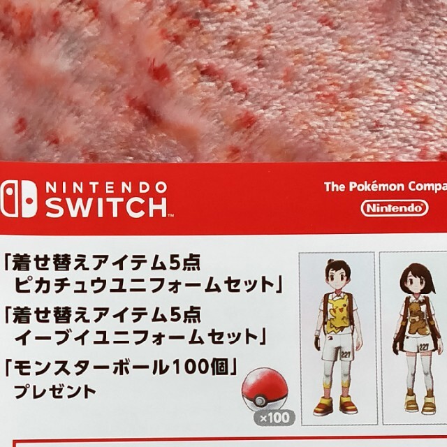 Nintendo Switch(ニンテンドースイッチ)の任天堂Switchソフト バンポケットモンスター ソード＋エキスパンションパス エンタメ/ホビーのゲームソフト/ゲーム機本体(家庭用ゲームソフト)の商品写真