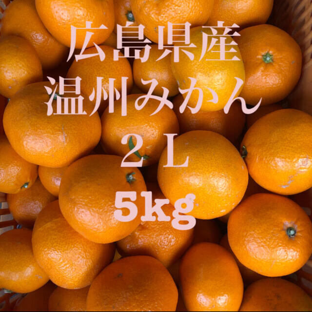 広島県産　温州みかん　蜜柑　２Ｌ　5kg 産地直送　送料無料 食品/飲料/酒の食品(フルーツ)の商品写真