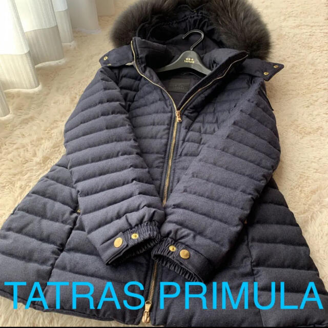 TATRSTATRAS(タトラス）PRIMULAプリムラ 最上級Rライン