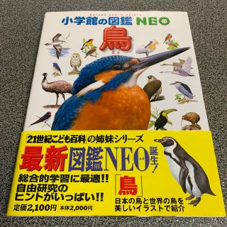 ショウガクカン(小学館)の鳥 小学館の図鑑 NEO(絵本/児童書)