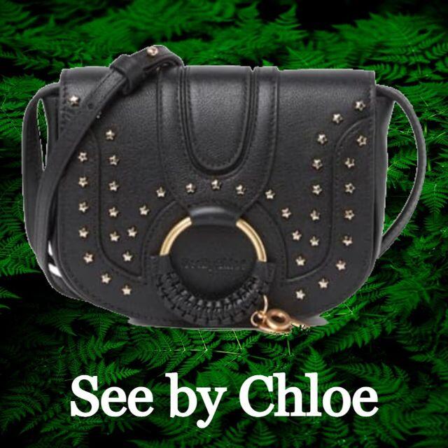 SEE BY CHLOE(シーバイクロエ)の☆SALE☆【See by Chloe】ロゴハナスタッズ クロスボディ バッグ レディースのバッグ(ショルダーバッグ)の商品写真