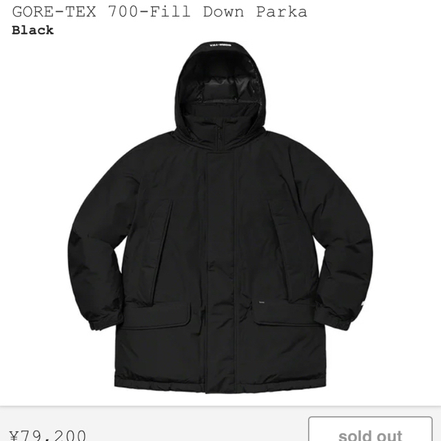 Supreme(シュプリーム)のGORE-TEX 700-Fill Down Parka  メンズのジャケット/アウター(ダウンジャケット)の商品写真