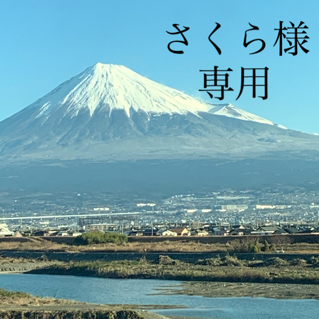 セットアップ PT900ダイヤピアス デマンPN 4点おまとめです パライバPN