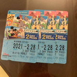 ディズニー(Disney)のディズニーリゾートライン 2day pass(遊園地/テーマパーク)