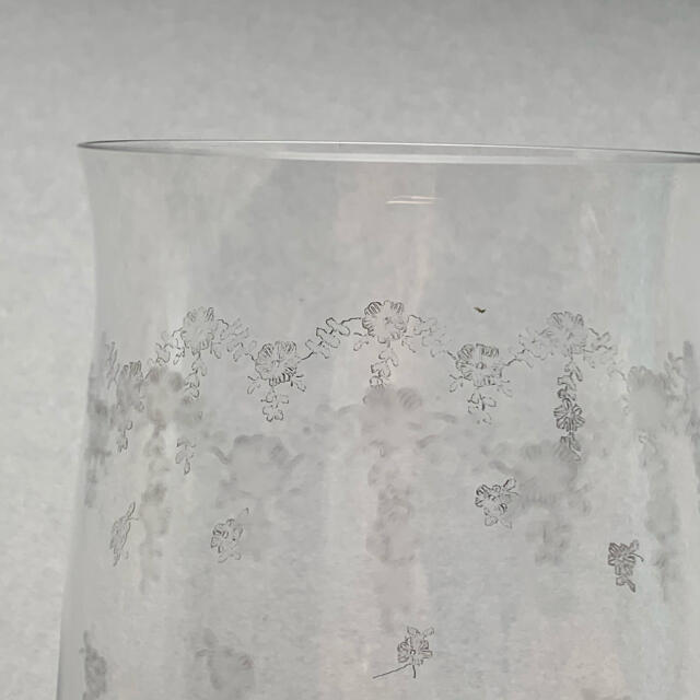 Bohemia Glass ２脚 インテリア/住まい/日用品のキッチン/食器(グラス/カップ)の商品写真