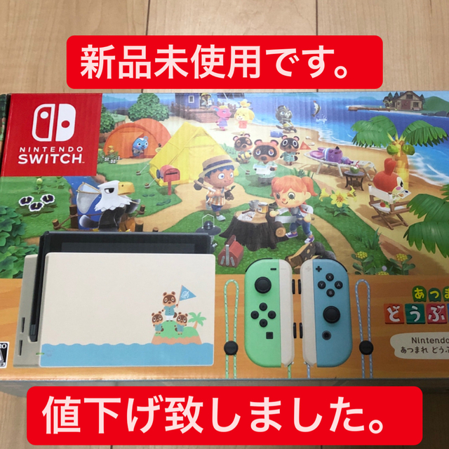 Nintendo Switch あつまれ どうぶつの森セット/Switch/HA