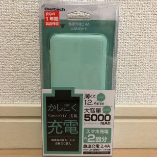 Owltech モバイルバッテリー　5000mAh OWL-LPB5005(バッテリー/充電器)