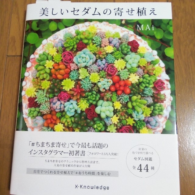 美しいセダムの寄せ植え   多肉植物 エンタメ/ホビーの本(趣味/スポーツ/実用)の商品写真