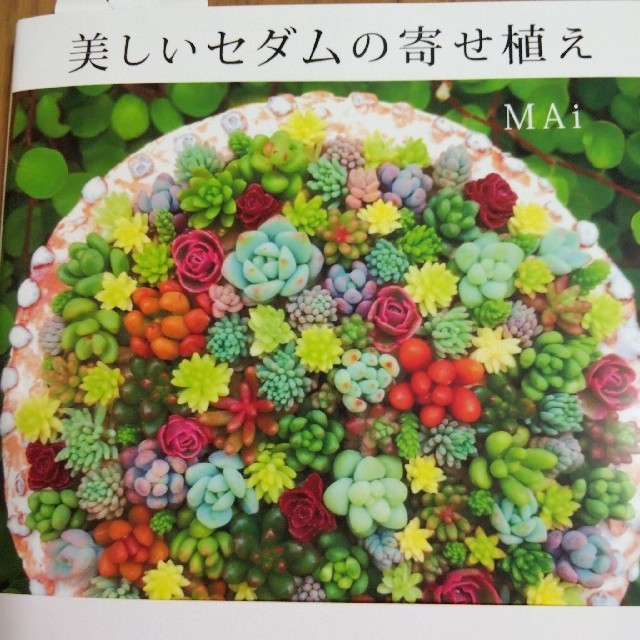 美しいセダムの寄せ植え   多肉植物 エンタメ/ホビーの本(趣味/スポーツ/実用)の商品写真