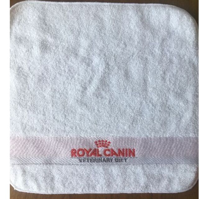 ROYAL CANIN(ロイヤルカナン)のぶうちゃん☆様専用　タオルハンカチ　3枚セット レディースのファッション小物(ハンカチ)の商品写真