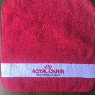 ロイヤルカナン(ROYAL CANIN)のぶうちゃん☆様専用　タオルハンカチ　3枚セット(ハンカチ)