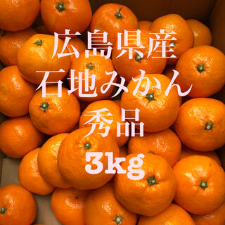 広島県産　石地みかん　いしじ　蜜柑　秀品　3kg ご贈答用可　産地直送　送料無料(フルーツ)