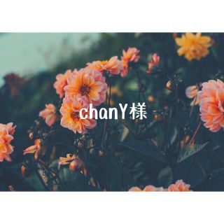 chanY様専用ᕱ(外出用品)