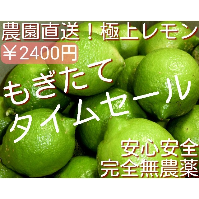 【農園直送】 完全無農薬　ノーワックス　極上　国産レモン　無農薬レモン 食品/飲料/酒の食品(フルーツ)の商品写真