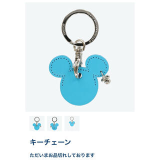 ディズニー(Disney)の【貴重】東京ディズニーランド購入 キーチェーン(キーホルダー)