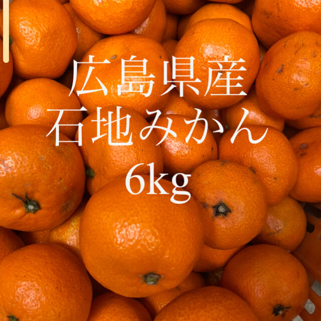 広島県産　石地みかん　いしじ　蜜柑　サイズ小　ご家庭用　6kg 送料無料 食品/飲料/酒の食品(フルーツ)の商品写真