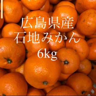 広島県産　石地みかん　いしじ蜜柑　サイズ小　ご家庭用　6kg 送料無料(フルーツ)