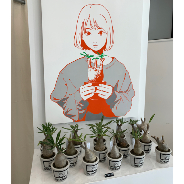 backsideworks. × BOTANIZE 植木鉢大小セット ハンドメイドのフラワー/ガーデン(プランター)の商品写真