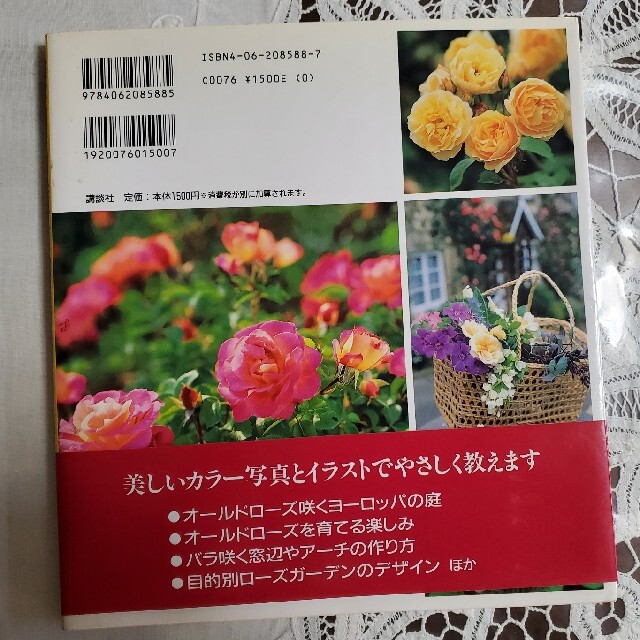 講談社(コウダンシャ)の素敵なバラを咲かせたい ひと目でわかるバラづくり エンタメ/ホビーの本(趣味/スポーツ/実用)の商品写真