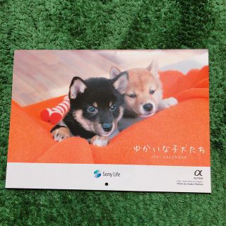 ソニー(SONY)のSONY＊ゆかいな子犬たちカレンダー2021(カレンダー/スケジュール)