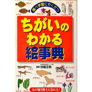 ちがいのわかる絵事典 調べ学習にやくだつ　もの知り博士になれる！(絵本/児童書)