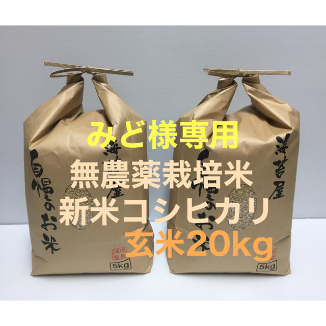 みど様専用 無農薬 新米コシヒカリ玄米20kg(5kg×4)令和2年 徳島県産