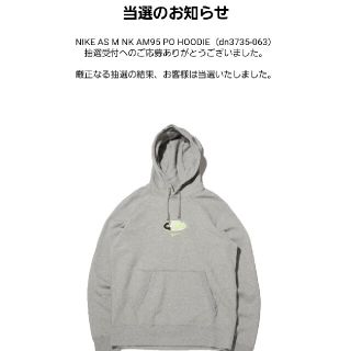 ナイキ(NIKE)のNIKE AS M NK AM95 PO HOODIE(パーカー)