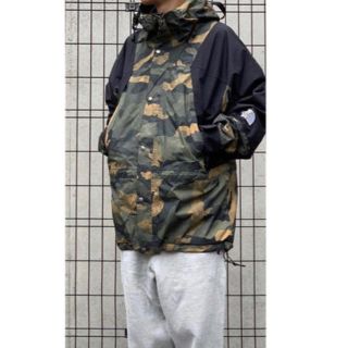 ザノースフェイス(THE NORTH FACE)の美品　the north face マウンテンライトジャケット(マウンテンパーカー)