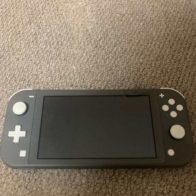 工房直送価格! 任天堂Switchライト本体 グレー - winterparksmiles.com