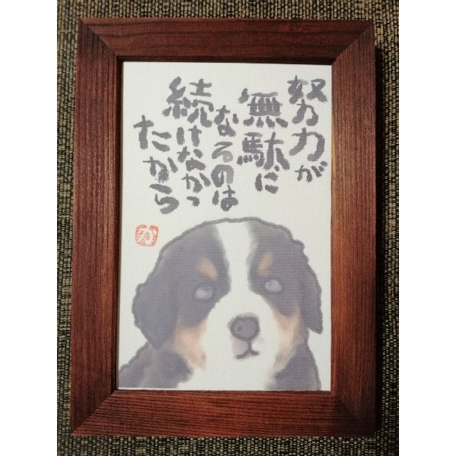 名言絵手紙 No 49 バーニーズマウンテンドッグの通販 By kazu S Shop ラクマ 名言絵手紙 No 49 バーニーズマウンテンドッグの通販 By kazu S Shop ラクマ