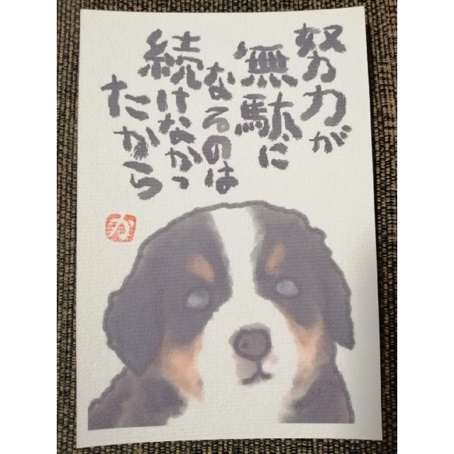 名言絵手紙 No 49 バーニーズマウンテンドッグの通販 By kazu S Shop ラクマ 名言絵手紙 No 49 バーニーズマウンテンドッグの通販 By kazu S Shop ラクマ