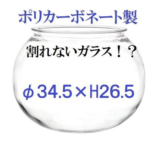 ポリカーボネート製　球形　φ34.5×H26.5　アクアリウム　コケリウム　金魚のサムネイル