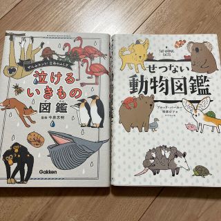 泣けるいきもの図鑑  せつない動物図鑑(絵本/児童書)