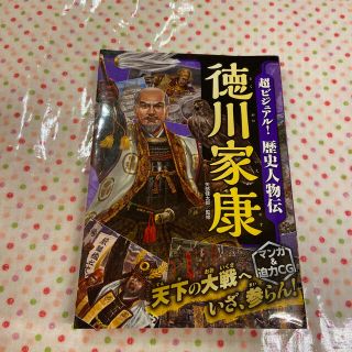 超ビジュアル！歴史人物伝徳川家康(絵本/児童書)