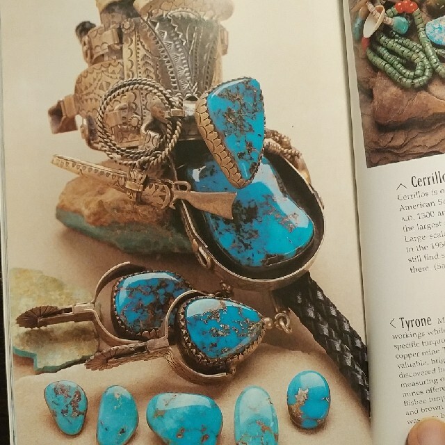 goro's(ゴローズ)のターコイズ図鑑 Turquoise Unearthed エンタメ/ホビーの本(洋書)の商品写真