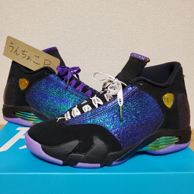 美品！NIKE AIR JORDAN 14 DOERNBECHER 27.5cm