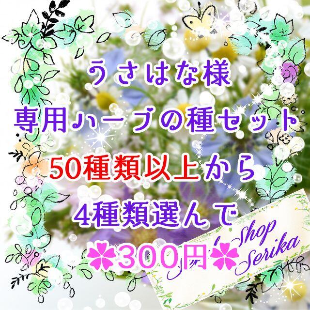 うさはな様専用 ハーブの種セット 家庭菜園 野菜 ハンドメイドのフラワー/ガーデン(その他)の商品写真